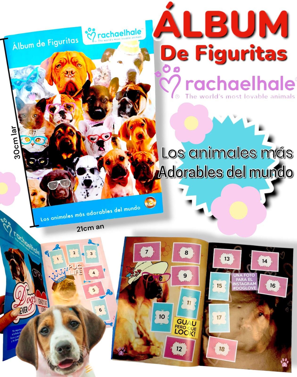 Album de Figuritas RACHAELHALE 